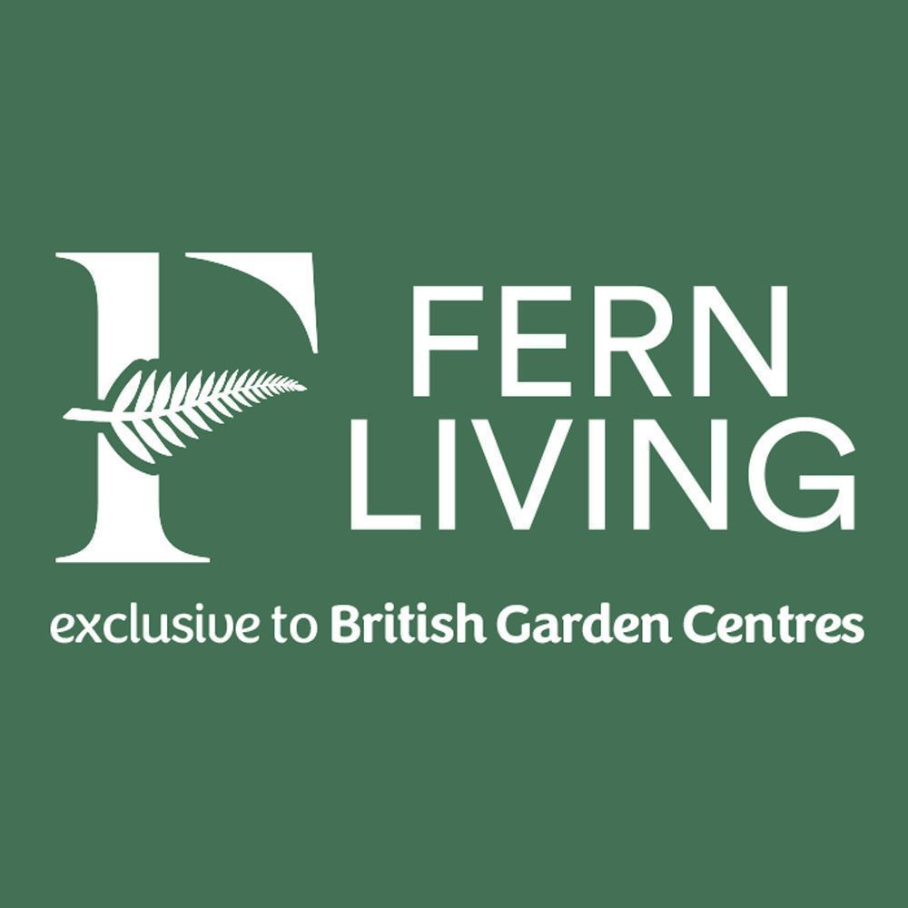 Fern Living Andorra Deluxe 4 Seat Dining