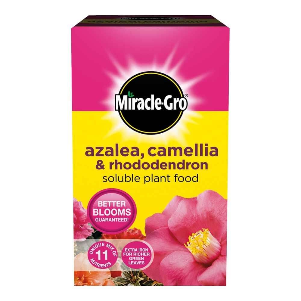 Miracle-Gro Azalea, Camellia & Rhododendron Plant Food