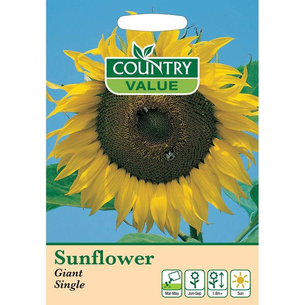 Mr Fothergill's Sunflower Giant Single CV