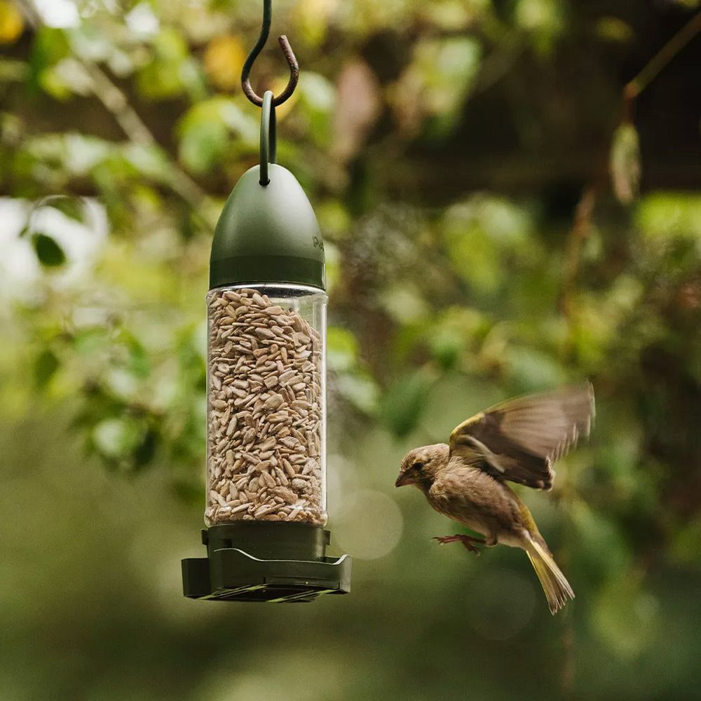 Peckish Sunflower Hearts Pre-Filled Feeder