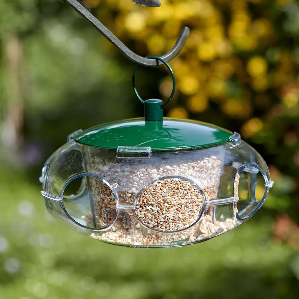 Peckish Small Bird Seed Feeder