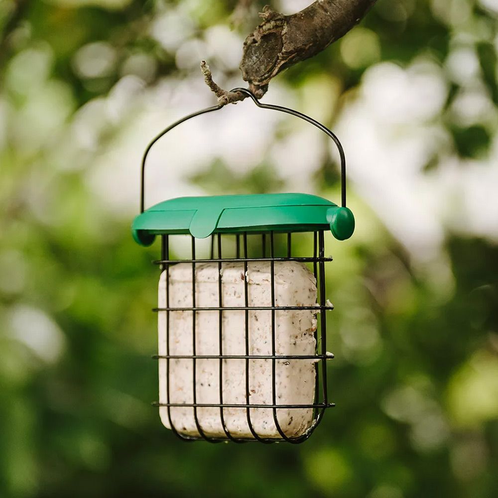 Gardman Flip Top Suet Feast Feeder