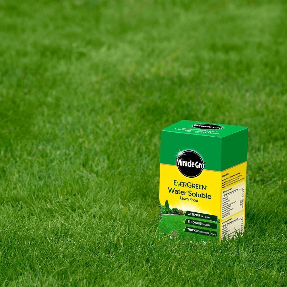 Miracle-Gro® EverGreen® Water Soluble Lawn Food 1 kg carton (up to 200m²)