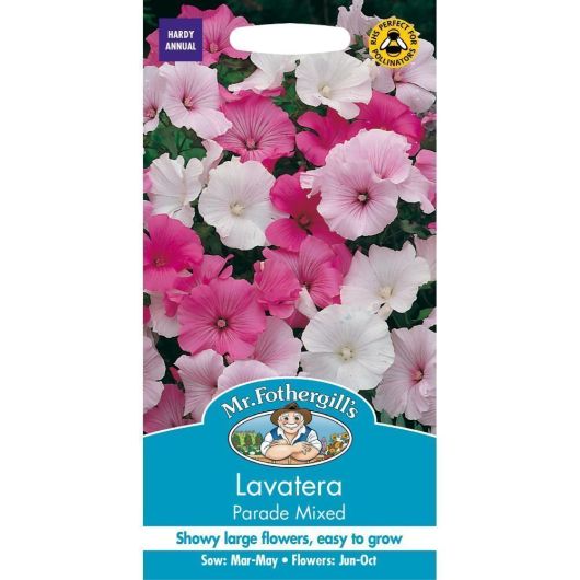 Mr Fothergills Lavatera Parade Mixed