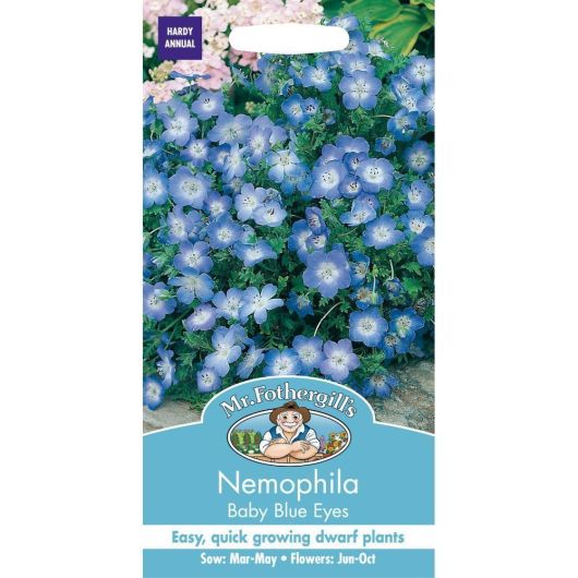 Mr Fothergills Nemophila Baby Blue Eyes