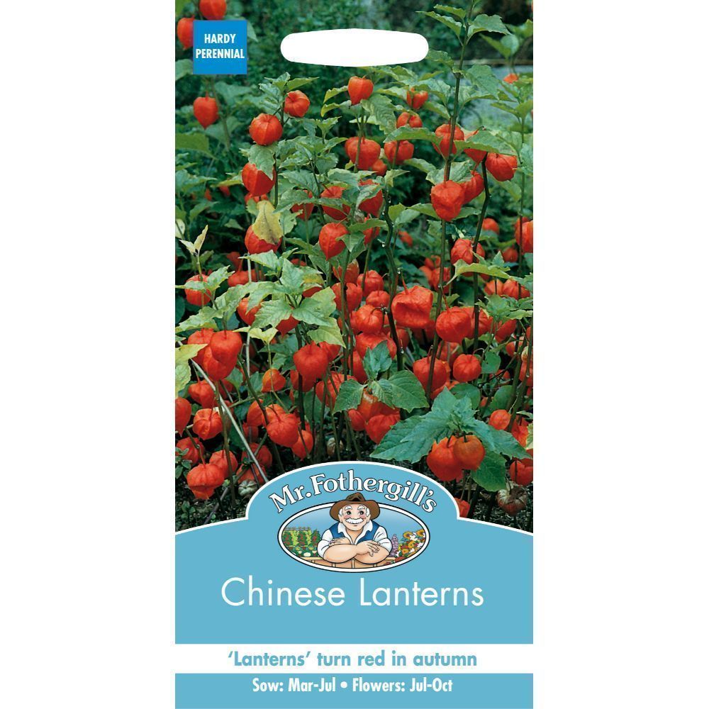 Mr Fothergills Chinese Lanterns Physalis Alkekengi