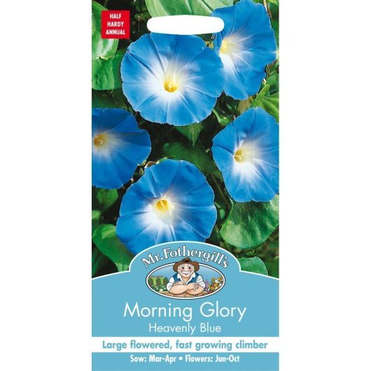 Mr Fothergills Morning Glory Heavenly Blue