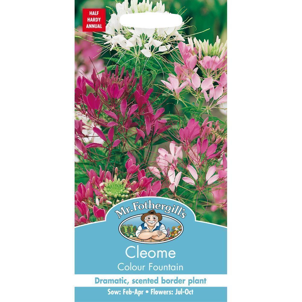 Mr Fothergills Cleome Colour Fountain