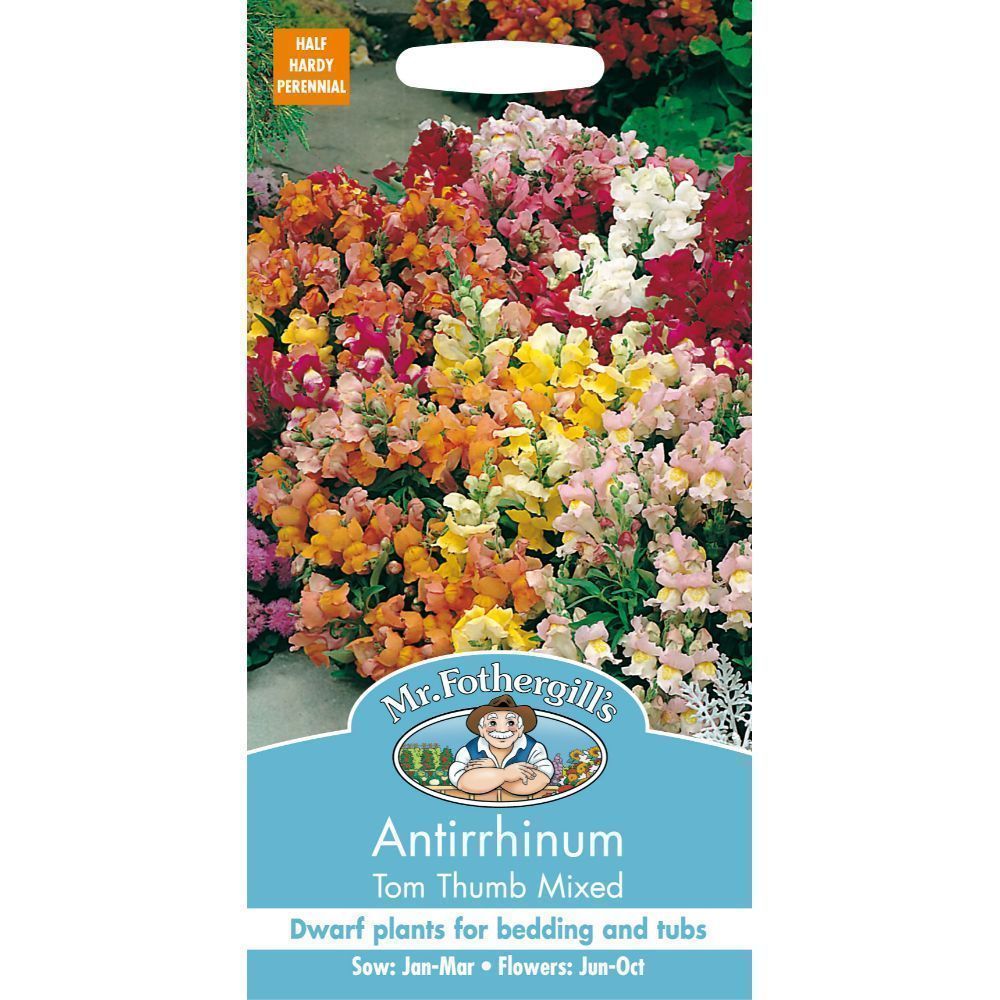 Mr Fothergills Antirrhinum Tom Thumb Mixed