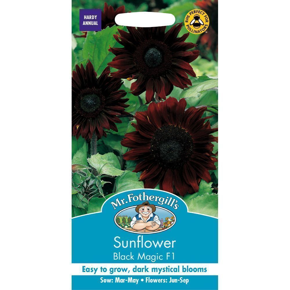 Mr Fothergills Sunflower Black Magic F1