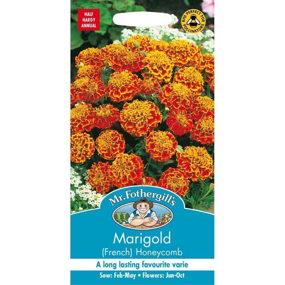 Mr Fothergills Marigold French Honeycomb