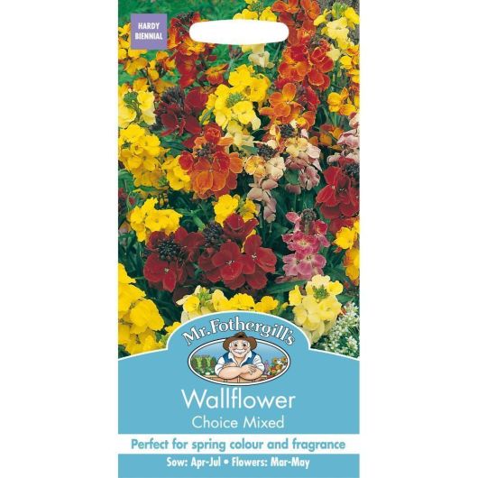 Mr Fothergills Wallflower Choice Mixed