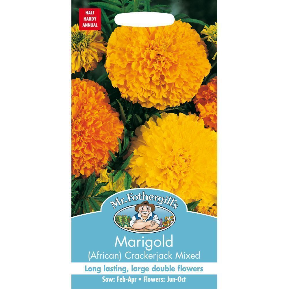 Mr Fothergills Marigold African Crackerjack Mixed