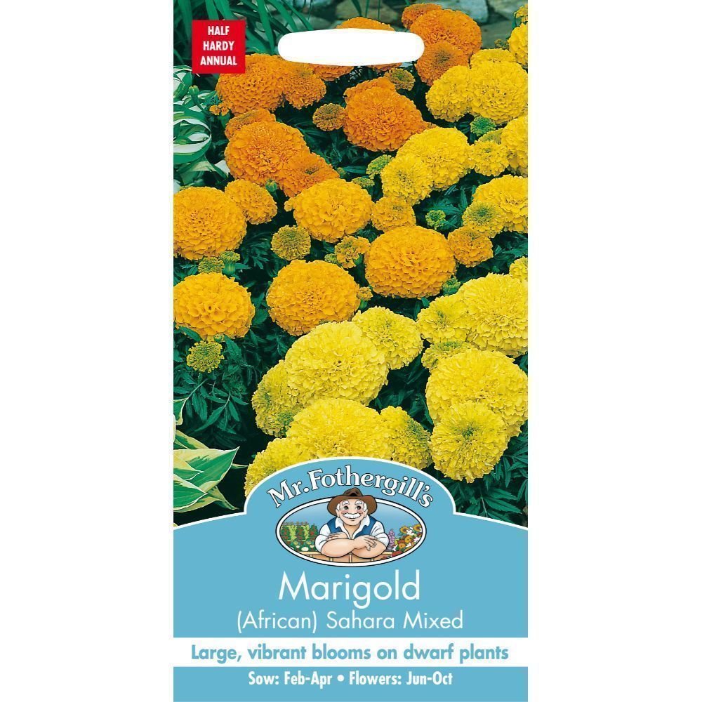 Mr Fothergills Marigold African Sahara Mixed