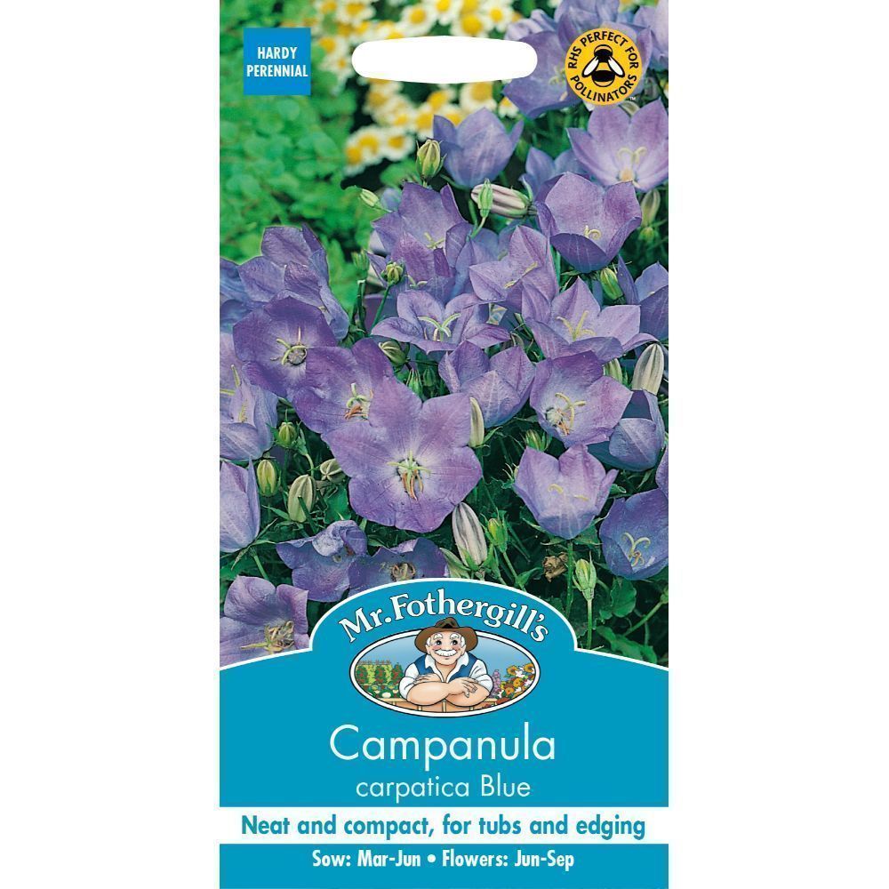 Mr Fothergills Campanula Carpatica Blue