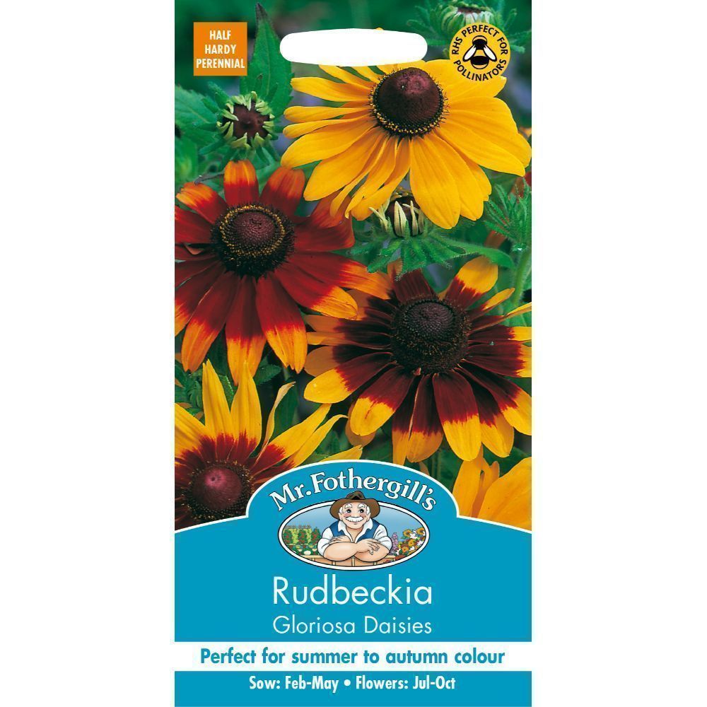 Mr Fothergills Rudbeckia Gloriosa Daisies