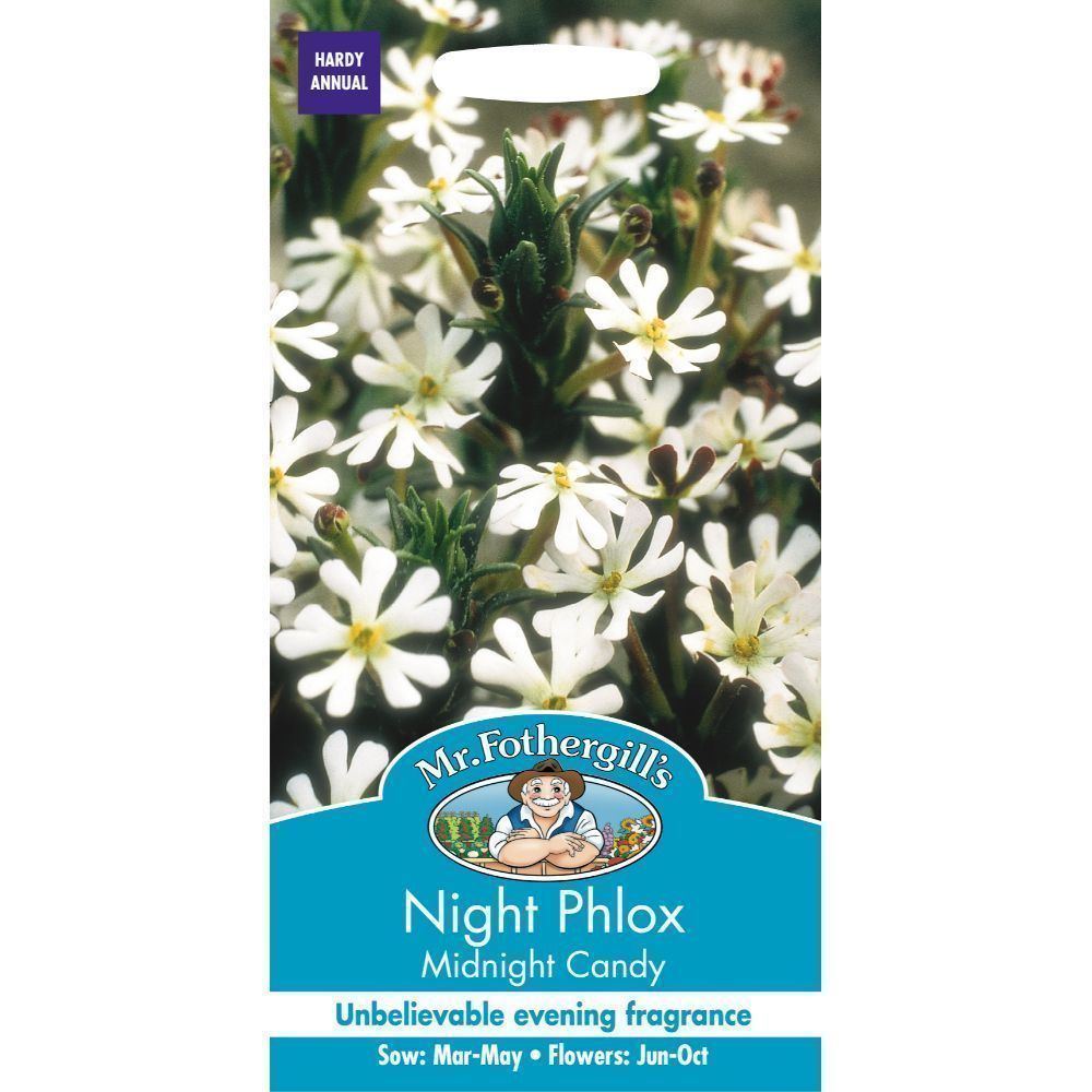 Mr Fothergills Night Phlox Midnight Candy