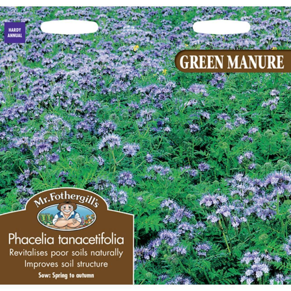 Mr Fothergill's Green Manure Phacelia Tanacetifolia