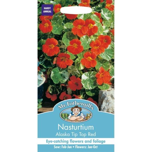 Mr Fothergills Nasturtium Alaska Tip Top Red