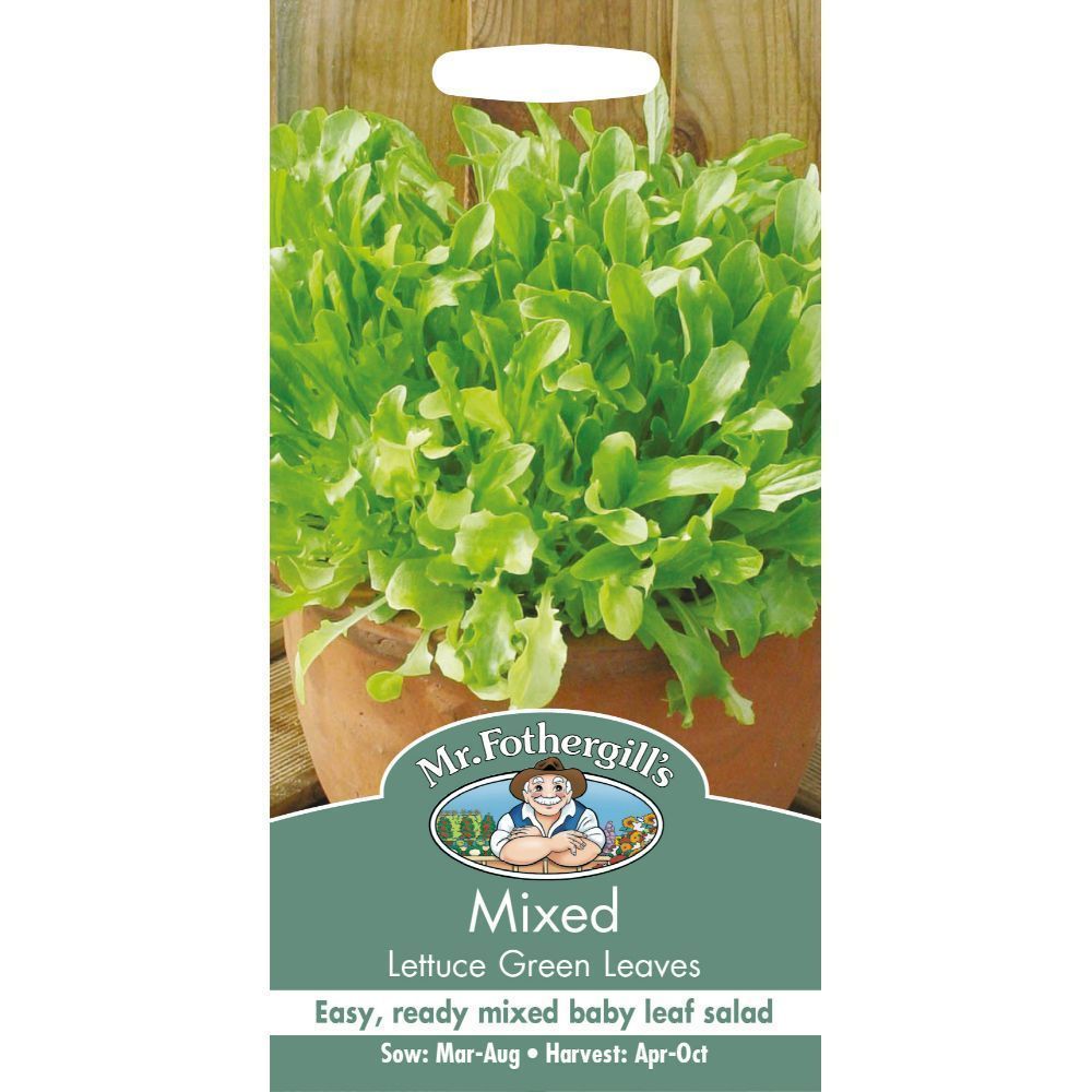 Mr Fothergill's Mixed Lettuce Green Leaves