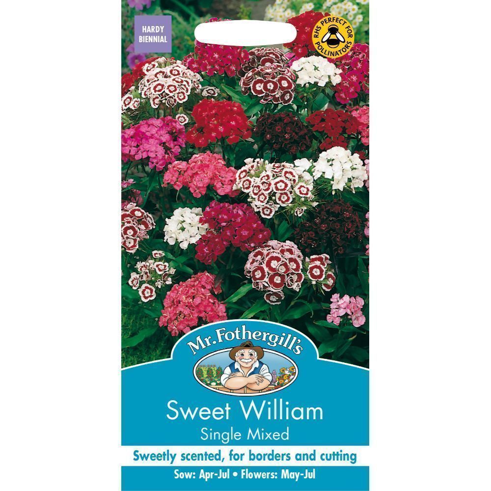 Mr Fothergills Sweet William Single Mixed