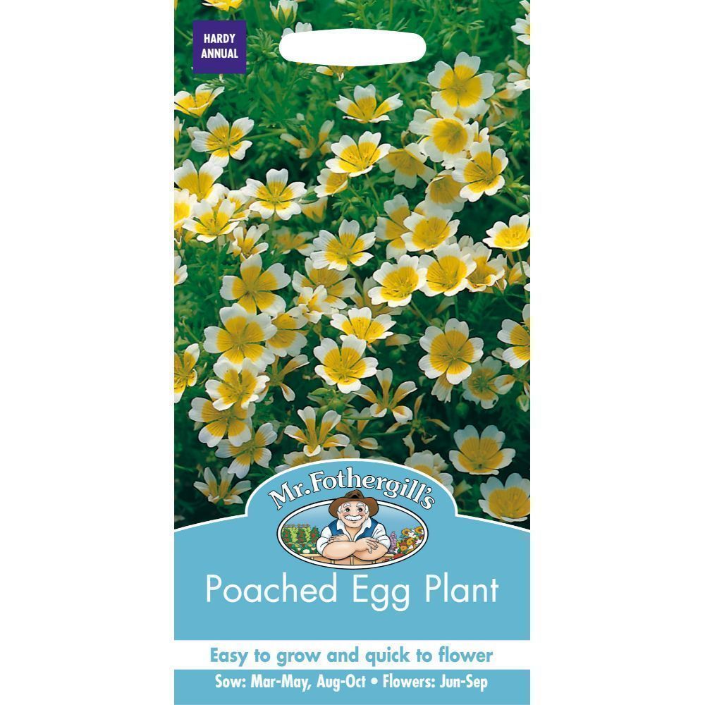 Mr Fothergills Poached Egg Plant