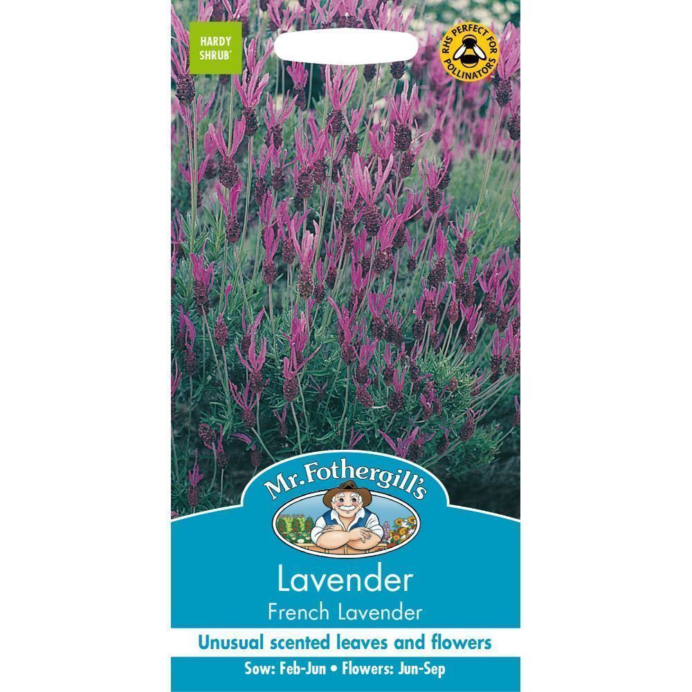 Mr Fothergills Lavender French Lavender