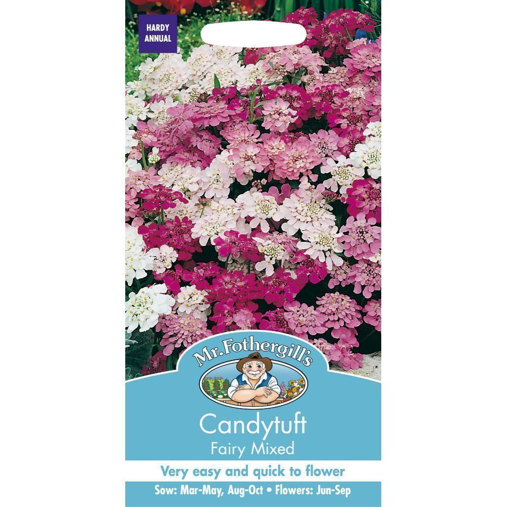 Mr Fothergills Candytuft Fairy Mixed