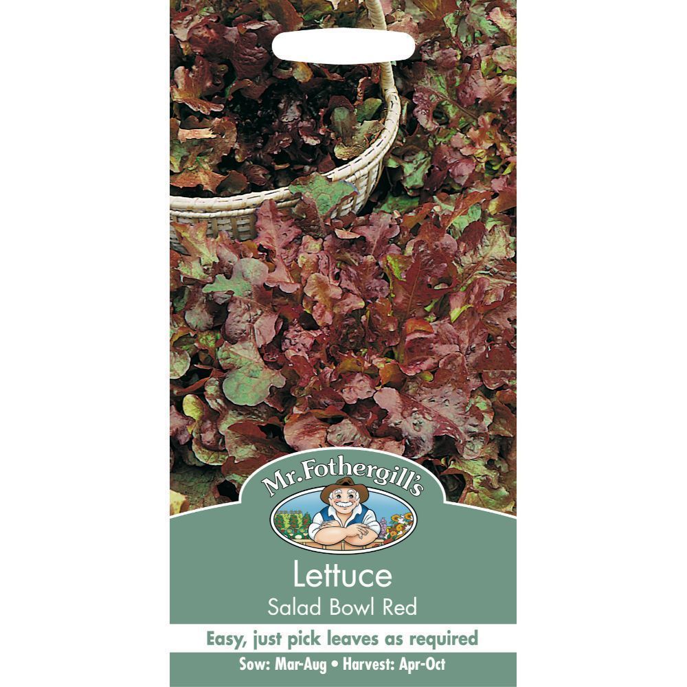 Mr Fothergill's Lettuce Salad Bowl Red