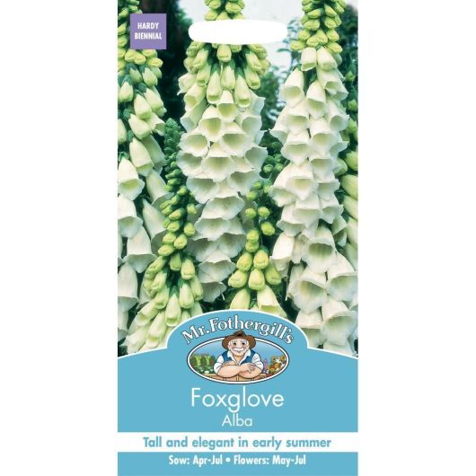 Mr Fothergills Foxglove Alba