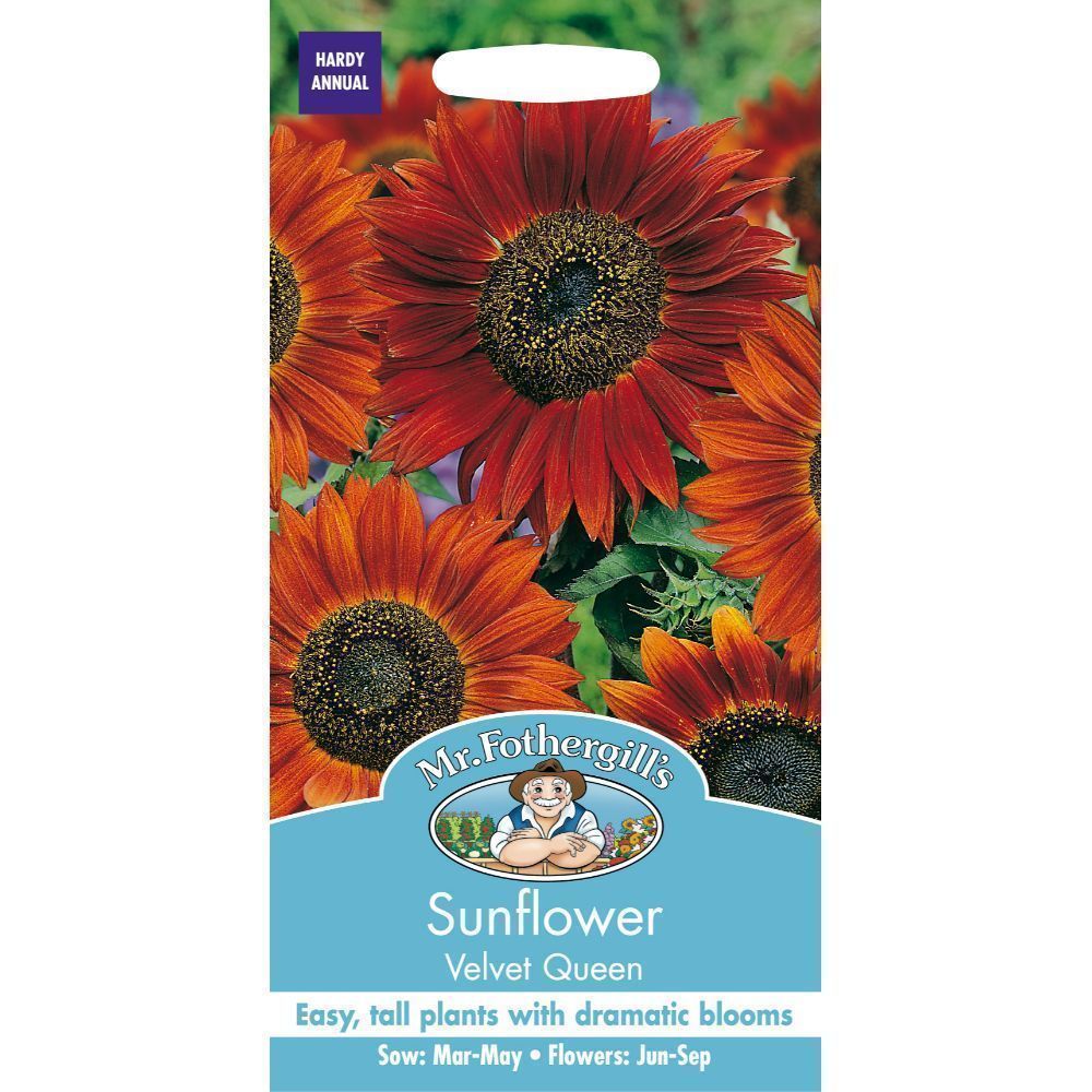 Mr Fothergills Sunflower Velvet Queen