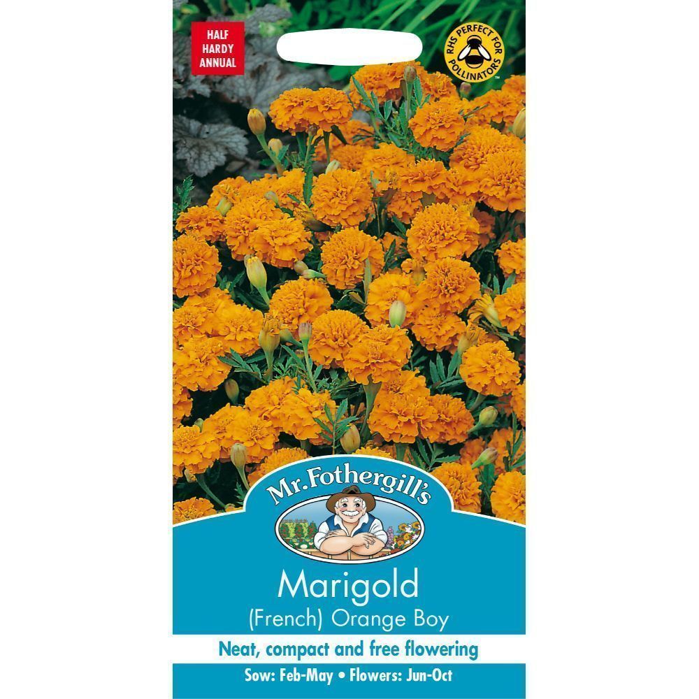 Mr Fothergills Marigold French Orange Boy