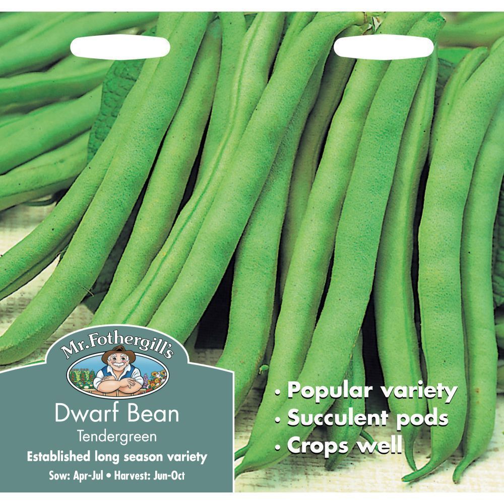 Mr Fothergill's Dwarf French Bean Tendergreen