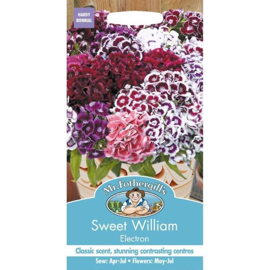 Mr Fothergills Sweet William Electron