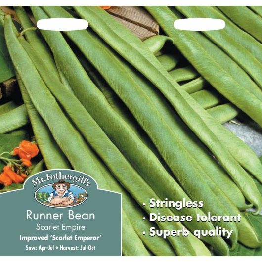 Mr Fothergill's Runner Bean Scarlet Empire Stringless