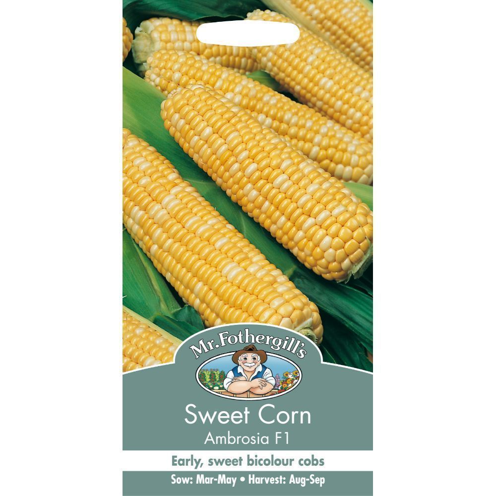 Mr Fothergill's Sweet Corn Ambrosia F1