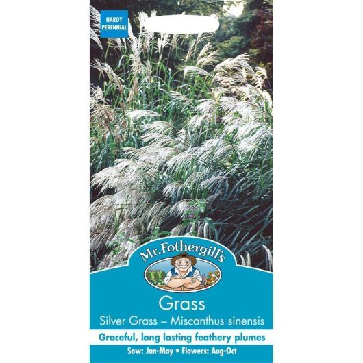 Mr Fothergills Grass Silver Grass Miscanthus Sinensis Early