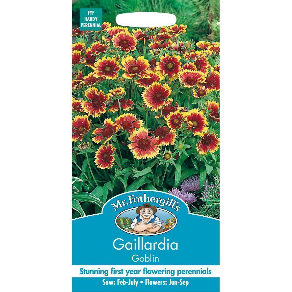 Mr Fothergill's Gaillardia Goblin