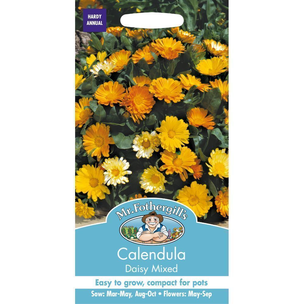 Mr Fothergills Calendula Daisy Mixed