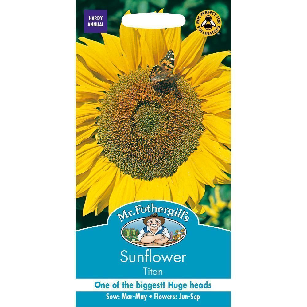 Mr Fothergills Sunflower Titan