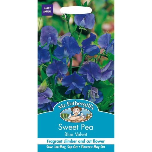 Mr Fothergill's Sweet Pea Blue Velvet