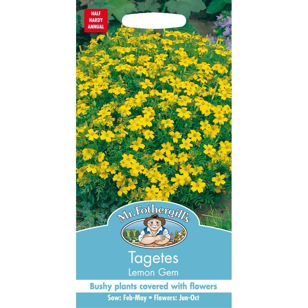 Mr Fothergills Tagetes Lemon Gem