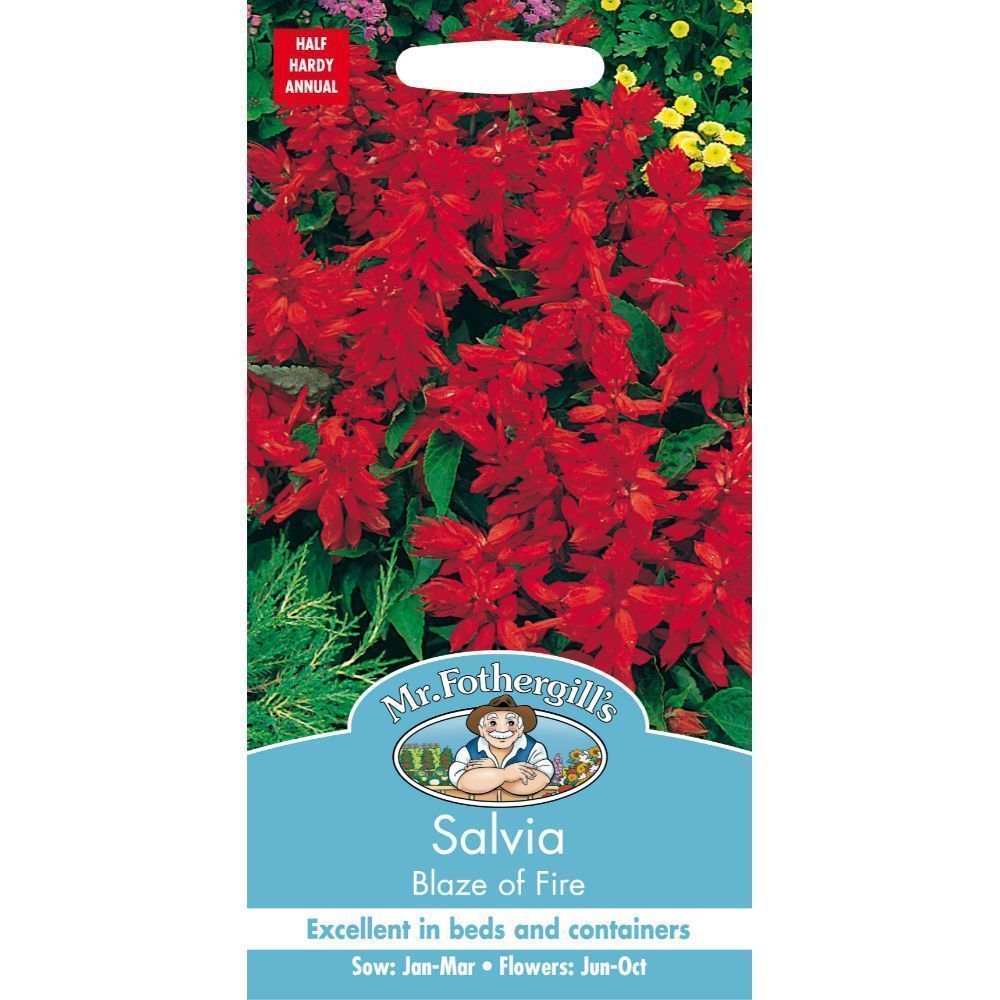 Mr Fothergills Salvia Blaze Of Fire