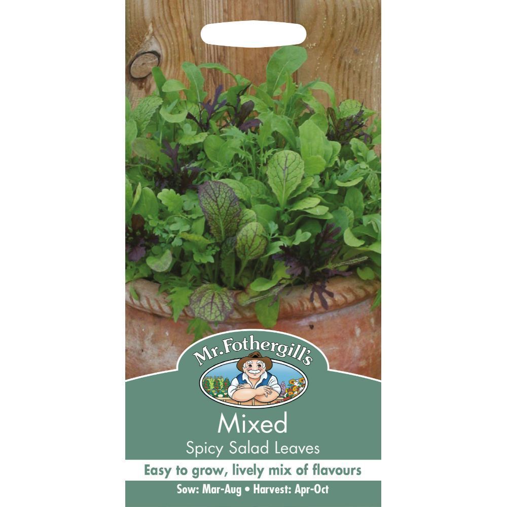 Mr Fothergill's Mixed Spicy Salad Leaves