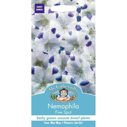 Mr Fothergill's Nemophila Five Spot