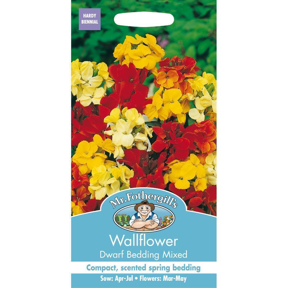 Mr Fothergills Wallflower Dwarf Bedding Mixed