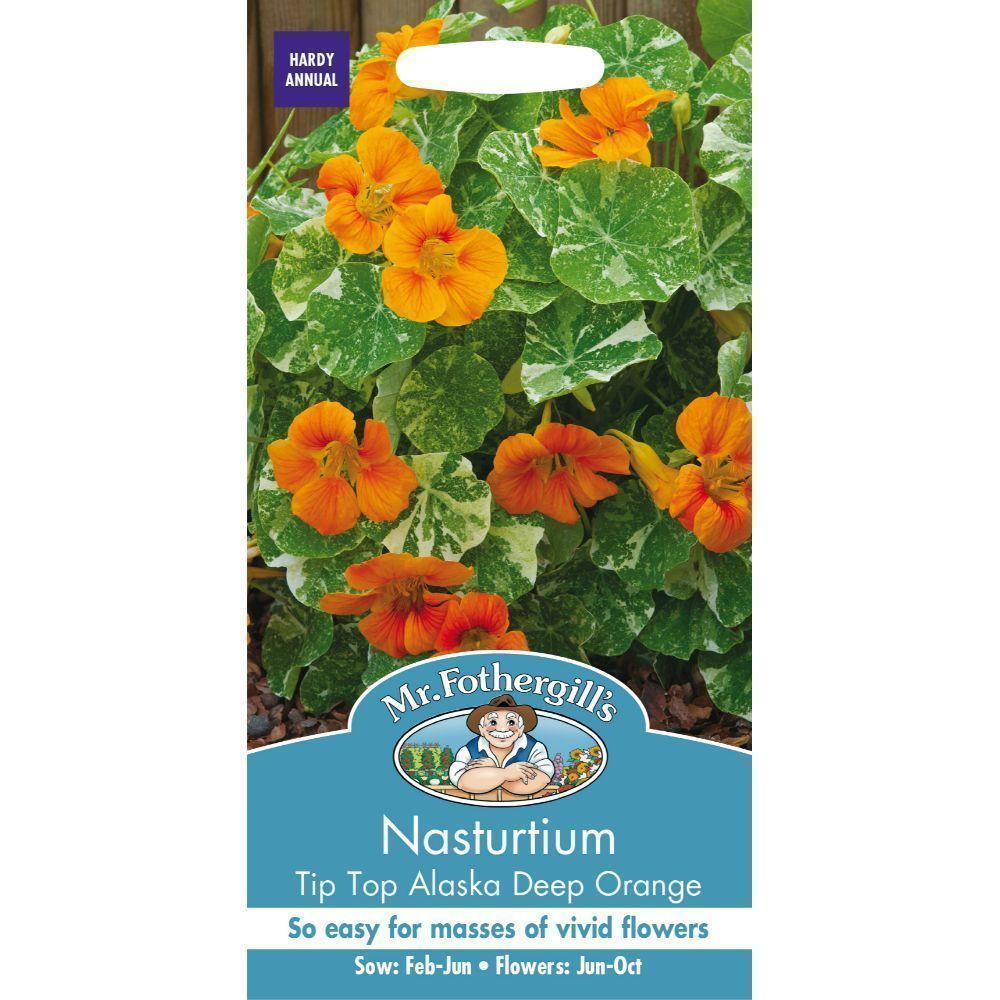 Mr Fothergill's Nasturtium Alaska Tip Top Deep Orange