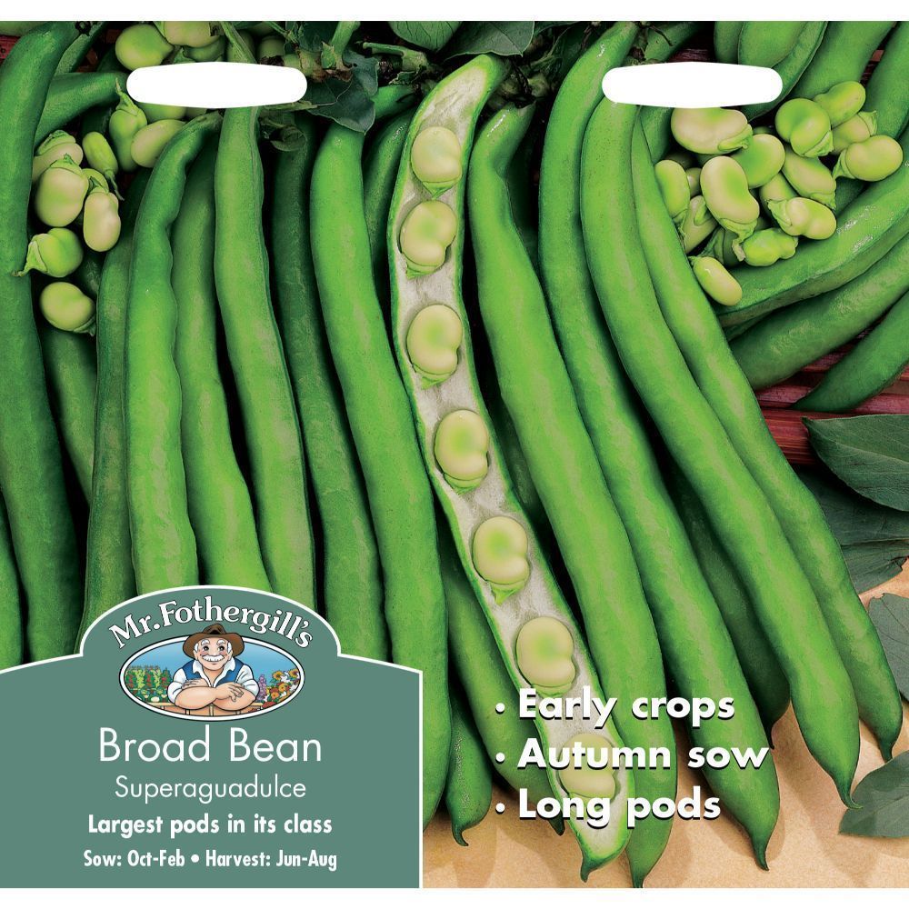 Mr Fothergill's Broad Bean Superaguadulce