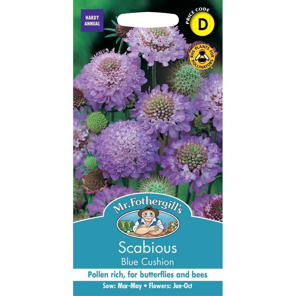 Mr Fothergills Scabious Blue Cushion