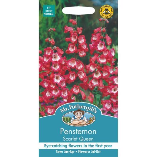 Mr Fothergills Penstemon Scarlet Queen